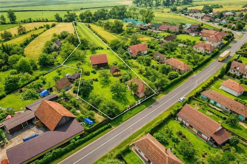 FILM! Oaza ta de liniste pe 4.900mp teren intravilan, Tufalau, Covasna - 1