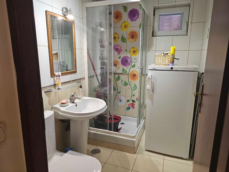 Domus Stil Pipera Voluntari Townhouse 160mp utili renovata 2026 - 3