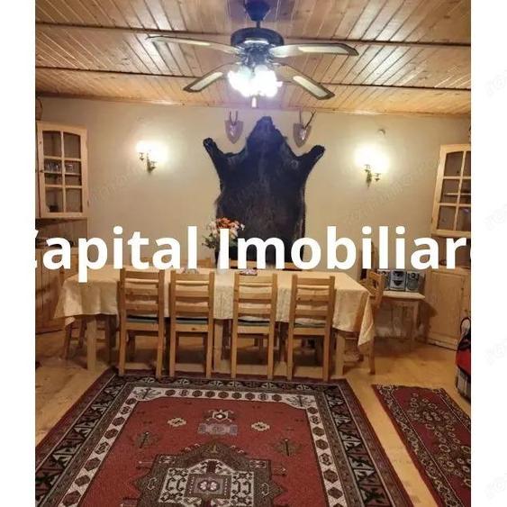 Proprietate Unica in Inima Naturii Galaoaia, Mure? - 8