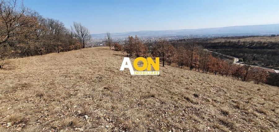 Teren ideal pentru cabana 4165 mp langa padure zona Valea Popii - 2