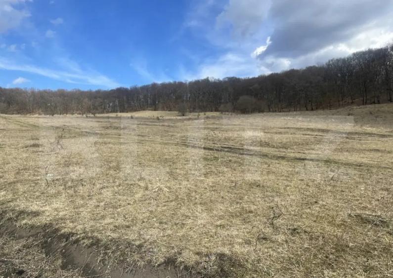 Teren extravilan de vanzare, 2,4 hectare, zona drumul Tarpiu - 2