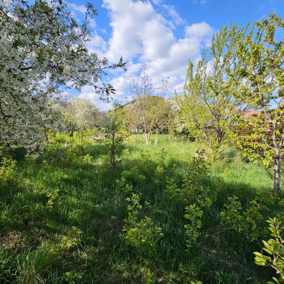 Casa de vanzare in: RASINARI-Marginimea SIBIULUI - 1