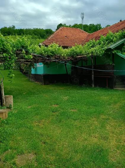 Apartament 2 camere ,Ilia judetul Hunedoara - 4