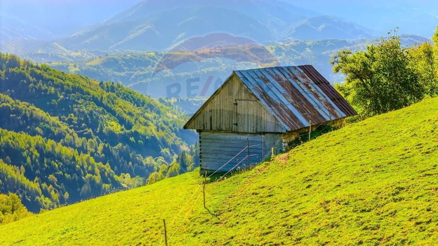 COMISION 0% Teren 10,594mp Pestera /Intravilan - 8