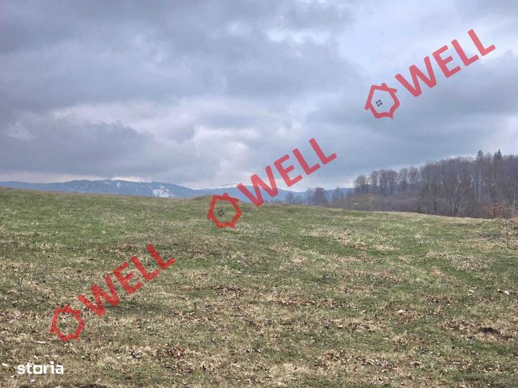 2 terenuri extravilane, Vama Buzaului,zona denumita ,,LENIEE,,! - 8