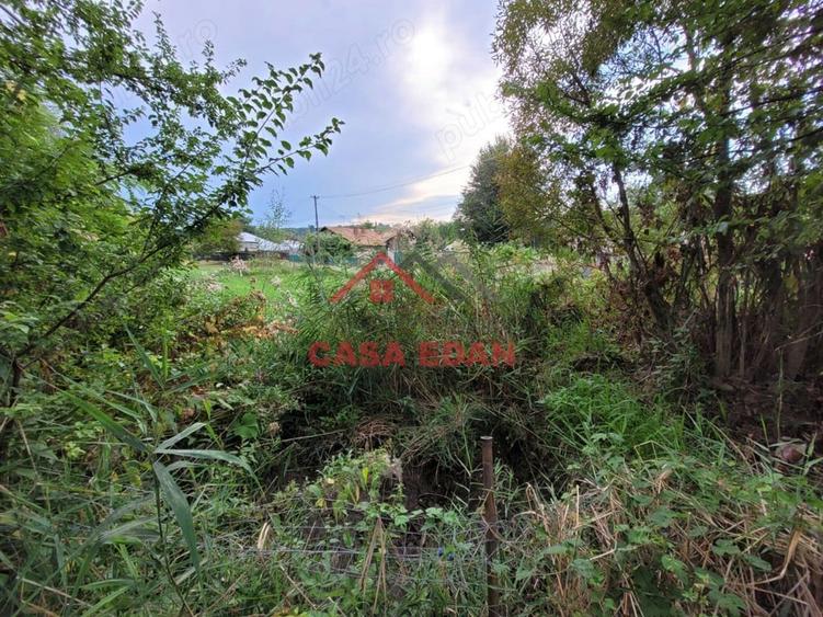 Teren intravilan in Telega--17.131 mp--180.000e - 6