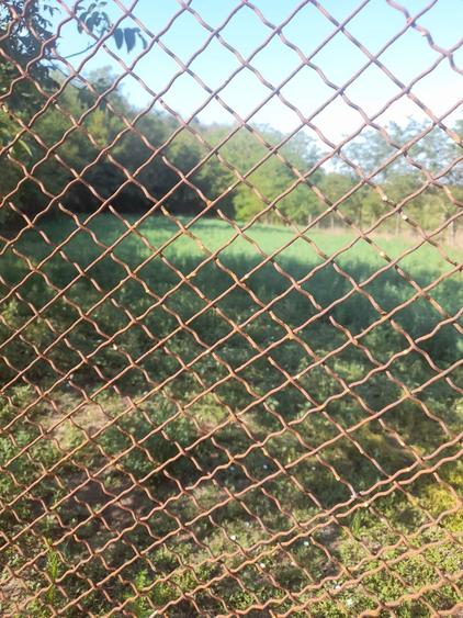 Casa + Teren Comuna Axintele, jud. Ialomita - 2