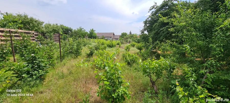 Casa + teren de vanzare Valea Nucului - 3