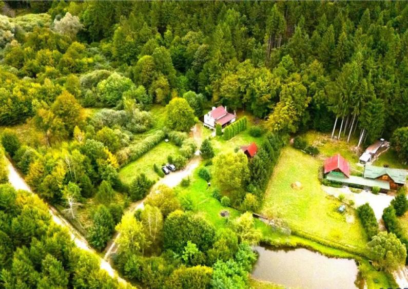 OFERTA REZERVATA!!Refugiu montan,cu 2100 mp domeniu verde,ar - 1