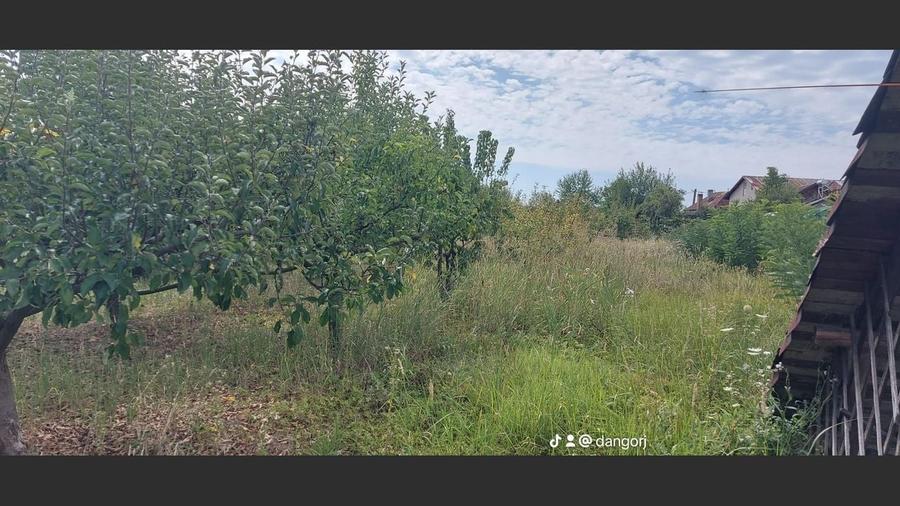 Proprietate cu doua imobile, com Dragutesti. Comision 0% - 19