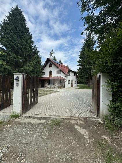 Pensiune/ Vila Valea Avrigului - 6