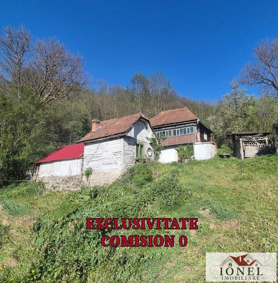 Vanzare casa in Muntii Apusenii - Ocolis - 1