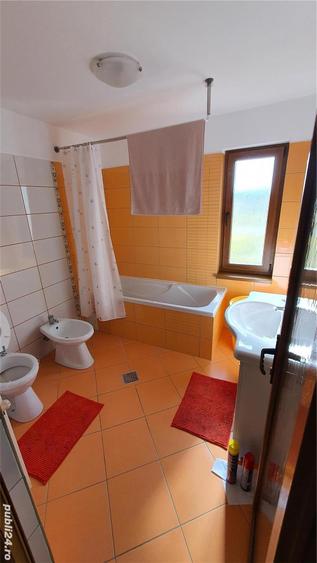 Vand casa P+M Tancabesti - 4