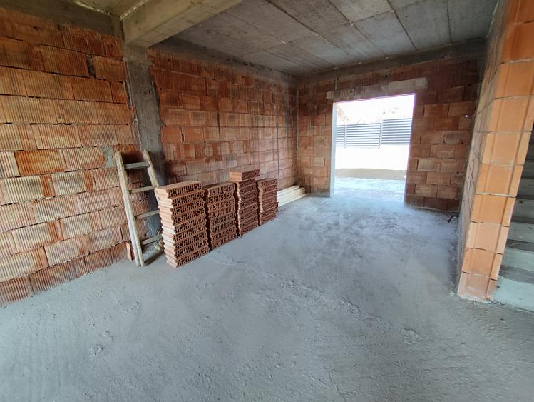 Casa individuala  P+1 visani - Hlincea  COD 157716 - 10