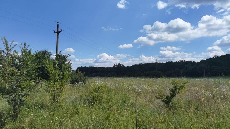 OPORTUNITATE INVESTITIE teren deosebit autostrada/DN1 - 2