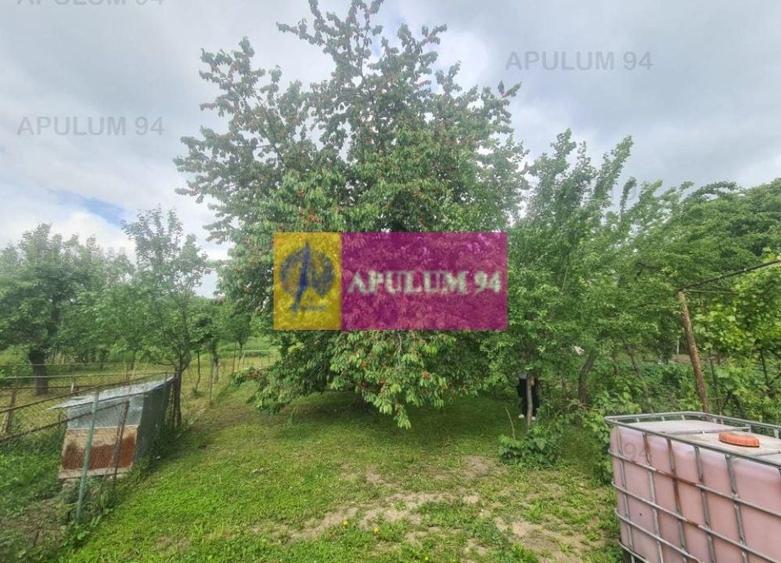 Casă de vânzare în Bănești - 18