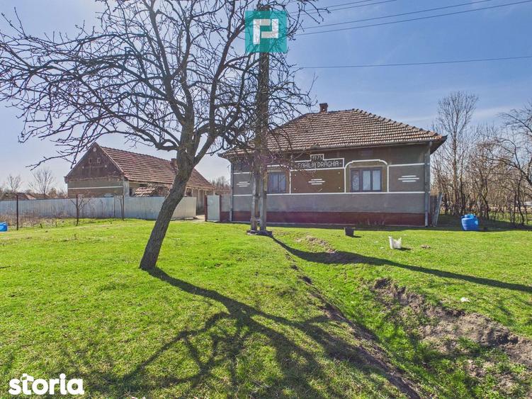 Casa cu teren de 6000 mp in Duboz, Timi? - 1