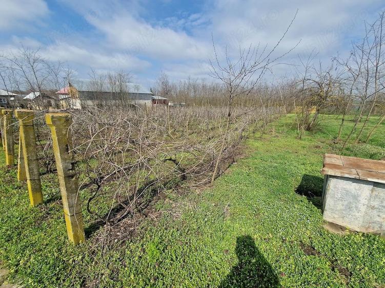 Casa de vanzare 2170mp - 2