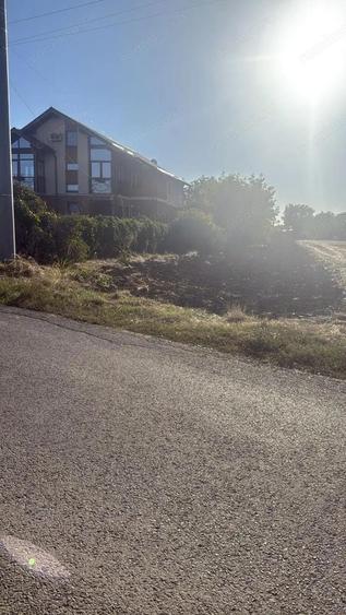 Teren Intravilan 1750mp, deschidere 15,88m - Caciulati, Ilfov - 2