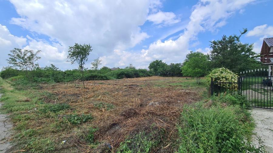 Teren 1274mp, sat Meri, comuna DRAGANESTI - 3