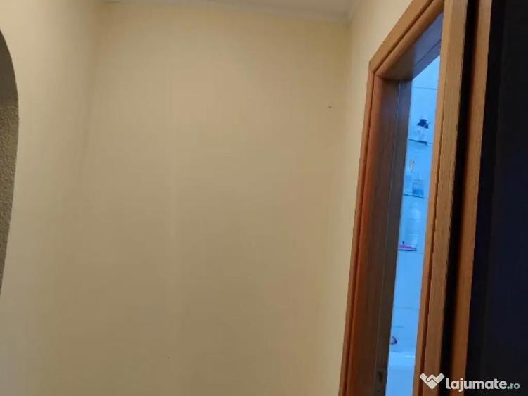 Vand apartament 2 camere Delfinului - 9