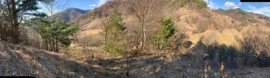 Teren Nehoiu, pentru cabană offgrid sau glamping - 4