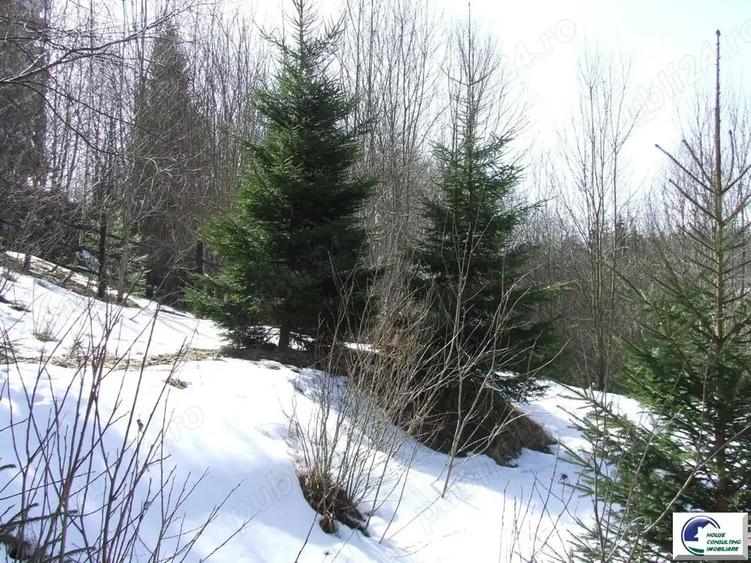 Teren situat in Predeal - 7