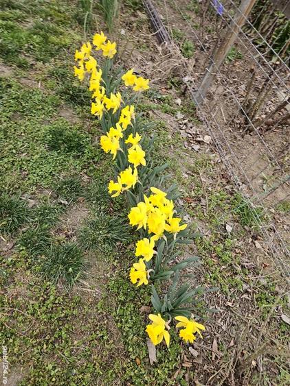 casa de vanzare (schimb cu ap. in Buc.) - 8