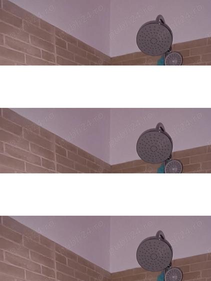 Casa de vanzare cu teren generos - 4