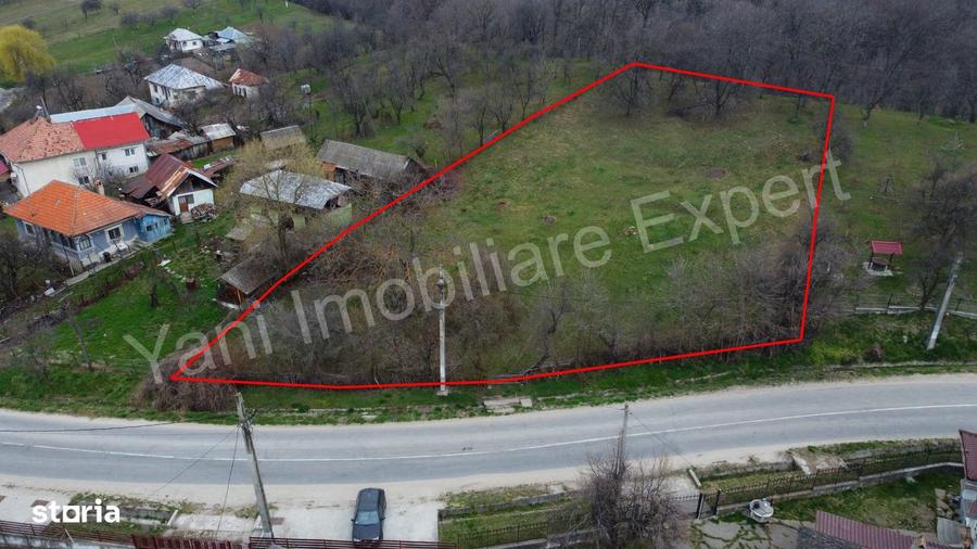 Teren de vanzare in comuna Cepari, jude? Arge?. - 10