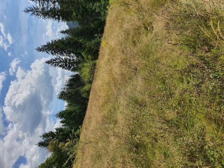 Teren de 14450 mp, în Scărișoara