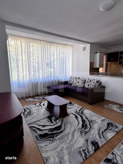 Apartament cu 2 camere decomandat în Viișoara