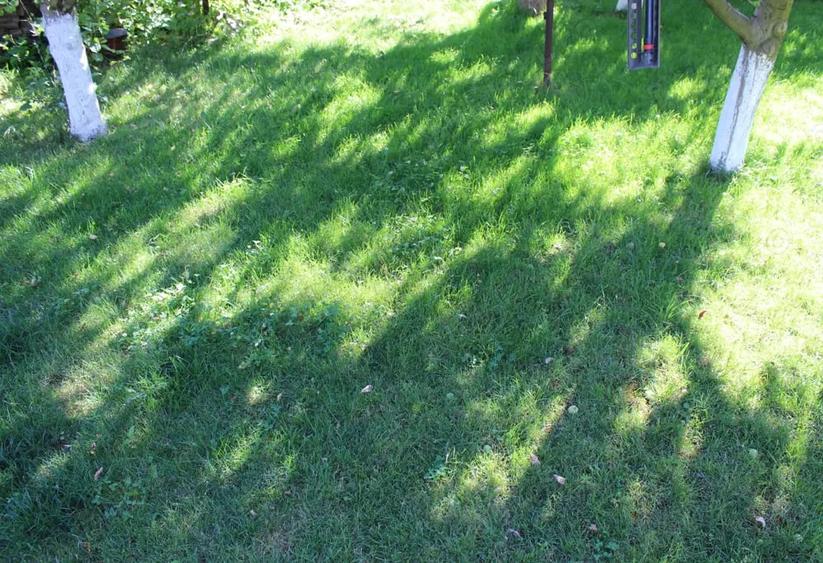 Teren de 800 mp, în Ultracentral