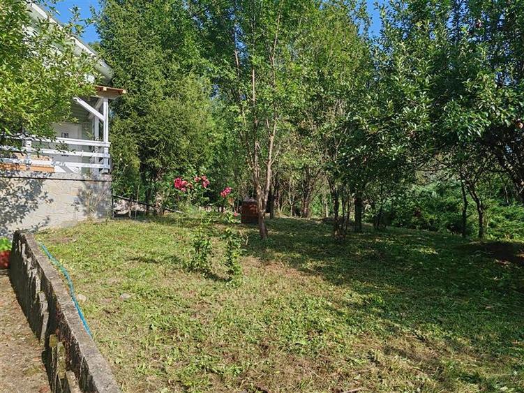 Casă individuală cu 5 camere cu Teren 1334 Mp în Telega