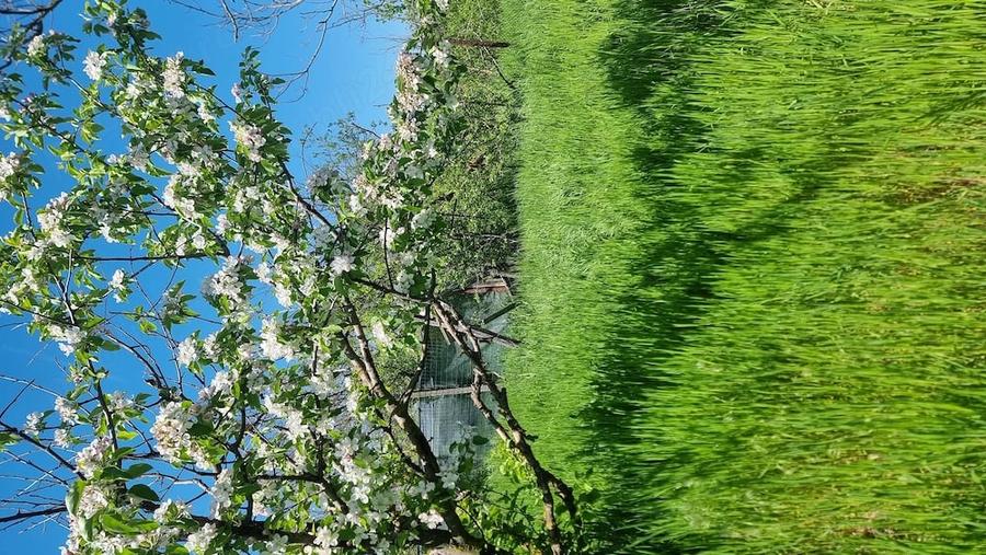 Teren de 3000 mp, în Călăreți