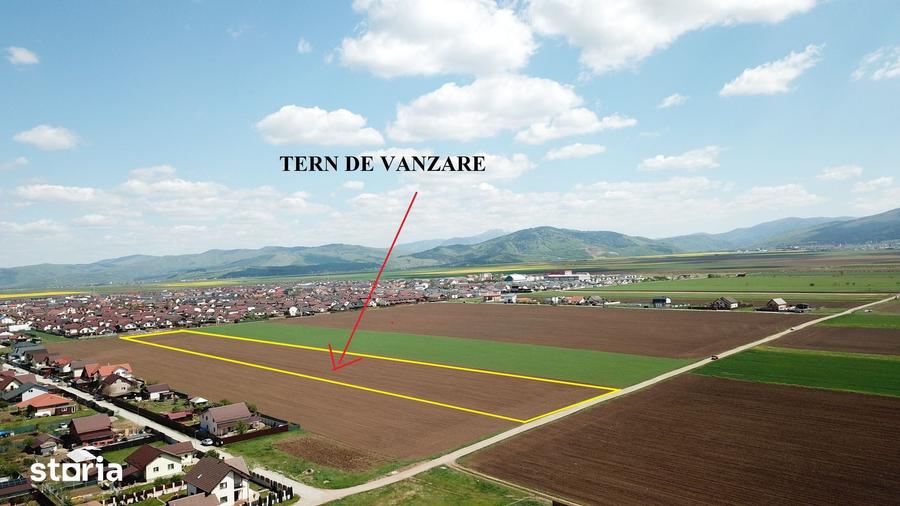 Teren de 29200 mp, în Tărlungeni