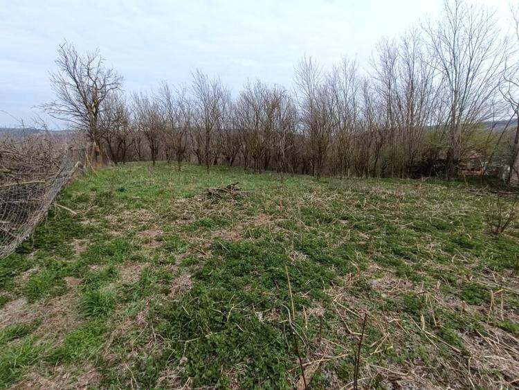 Teren Construcții intravilan de 1295 mp, în Straja