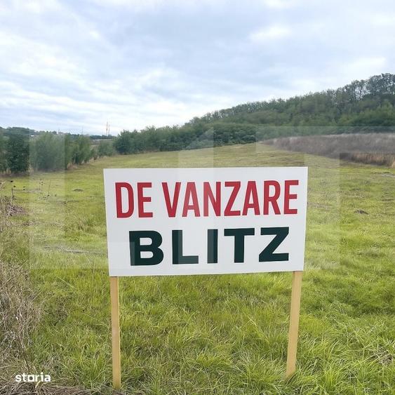 Spațiu comercial, în Manolești