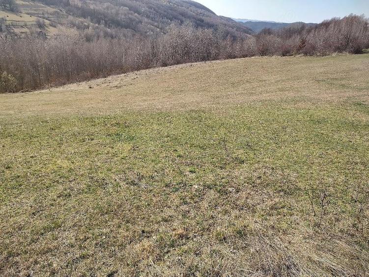 Teren de 4200 mp, în Bucea