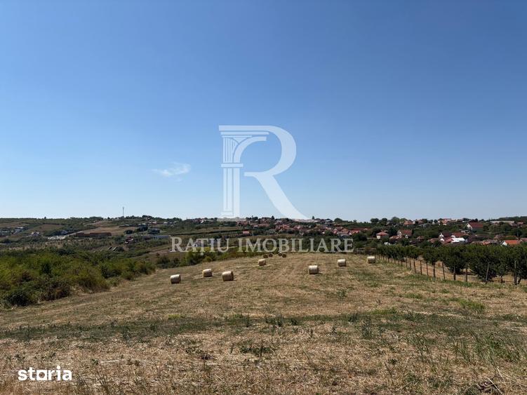 Teren de 6355 mp, în Paleu