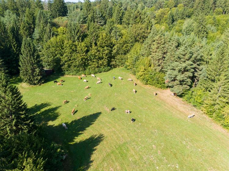 Investitie premium in turism-teren 6800mp langa lacuri Vulcan Brasov - 15