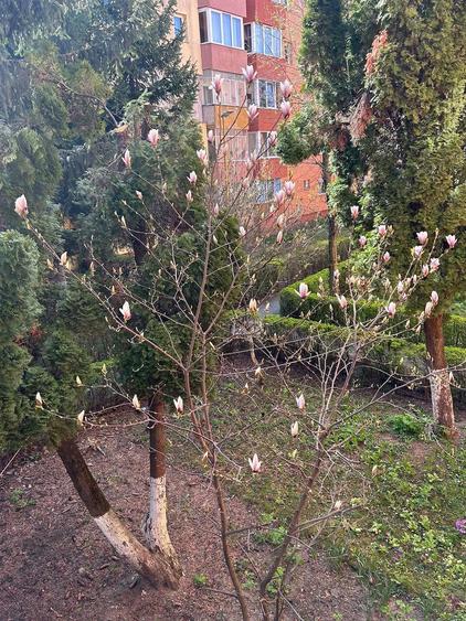 Direct proprietar. Fara agentii - 3 cam, decomandat, et 1 din 4, Centrul Civic - mobilat si utilat - 8