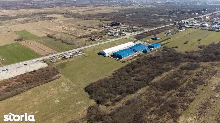 Teren extravilan de 7.000 mp langa Paltini? - 6
