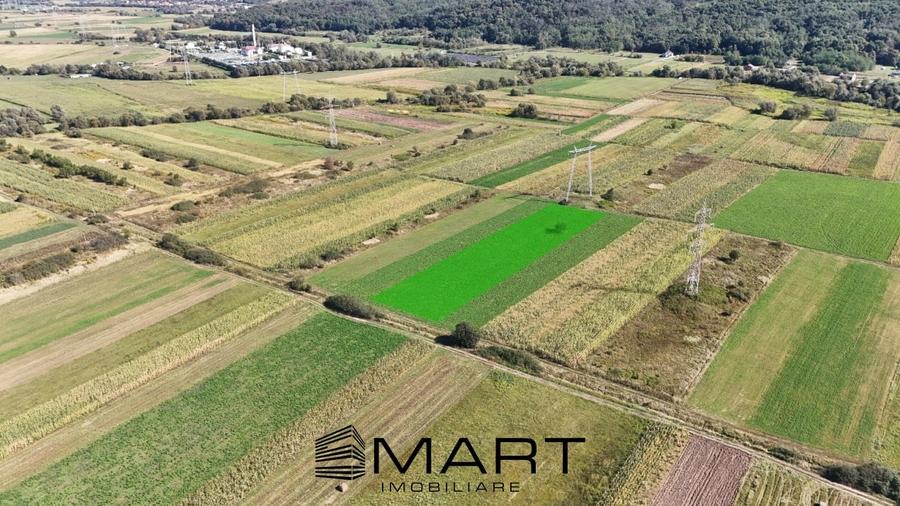 Teren extravilan de vânzare –5000 mp, Șelimbăr (Mohu) - 1