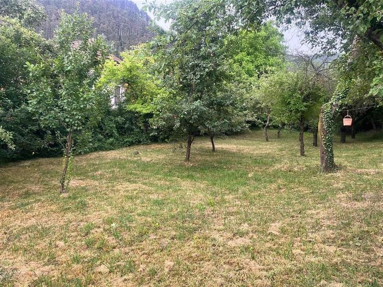 TEREN 1600MP CU CASA 5 CAMERE, SCHEII BRASOVULUI - 1