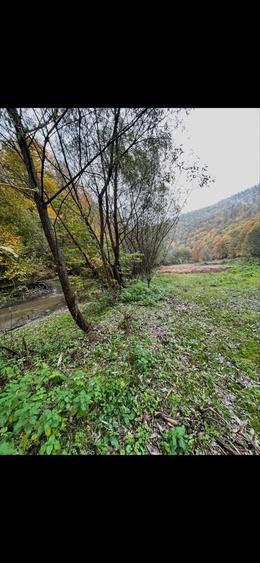 De vanzare Teren tanita 2150 mp - 1