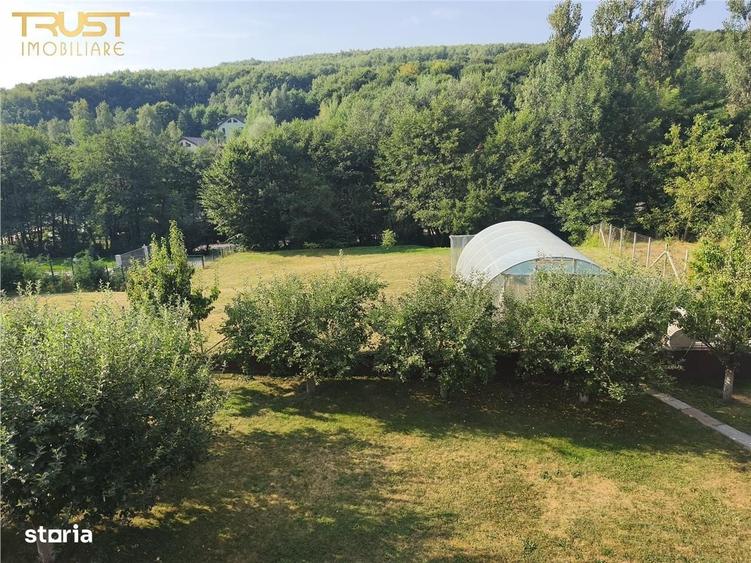 Valea Capriorii | 1127 MP | Intravilan | Front 33 MP - 1