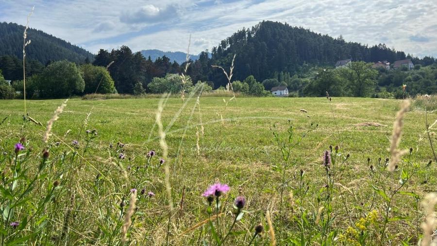 Teren 400 mp.  intravilan cu aut. constructie  in Sacele -jud. Brasov - 1