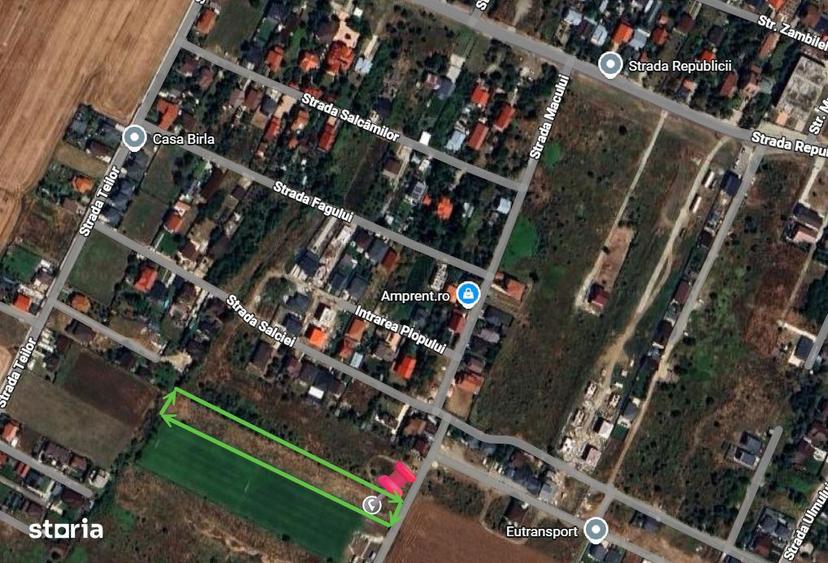 Teren de vanzare - Dragomiresti Deal - Strada Macului - 1