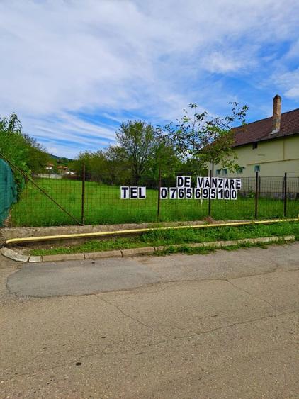 Teren Intravilan 1571 mp,Hunedoara str Latureni, - 5